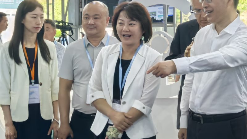 国产改装车配件：揭秘十大品牌背后的秘密